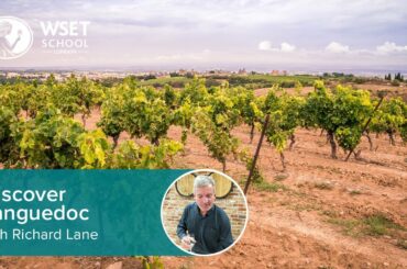 Discover Languedoc wine with Richard Lane DipWSET