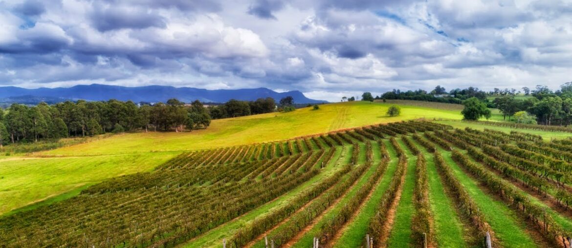 Australia's oldest wine region 'has a lot to offer'