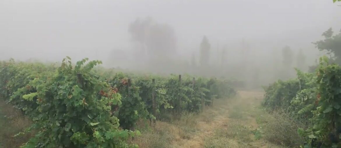 Variations sur un Air du Pays d'Oc by Louis Cahuzac