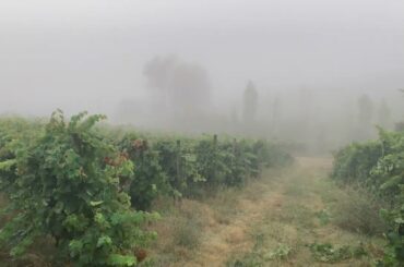 Variations sur un Air du Pays d'Oc by Louis Cahuzac