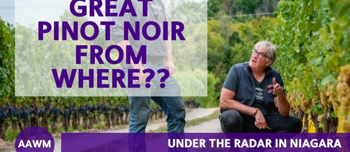 An Emerging Fine Wine Region to Know: Niagara An Emerging Fine Wine Region to Know: Niagara