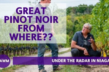 An Emerging Fine Wine Region to Know: Niagara