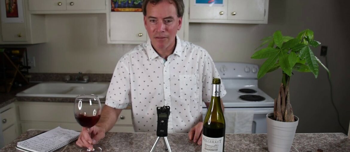 Budget Wine with Bacchus Bruce 2014 Domaine de Pellehaut Gascogne France Wine Tasting