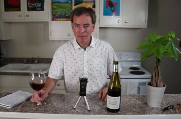 Budget Wine with Bacchus Bruce 2014 Domaine de Pellehaut Gascogne France Wine Tasting
