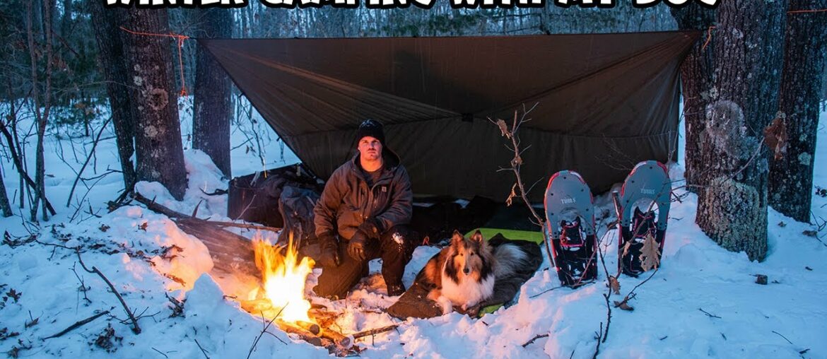 Winter Camping With My Dog And Cooking Gourmet Campfire Food