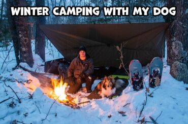 Winter Camping With My Dog And Cooking Gourmet Campfire Food