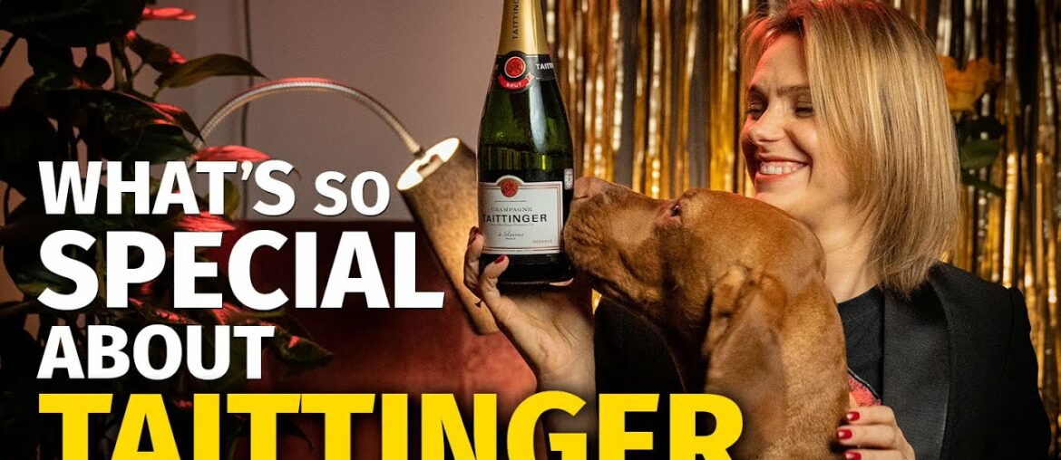 What's So Special About TAITTINGER Champagne What's So Special About TAITTINGER Champagne