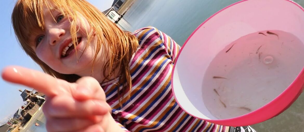 Adley and her FiSH FRiENDS!!  another day living at pirate island! Niko and Navey are feeling better