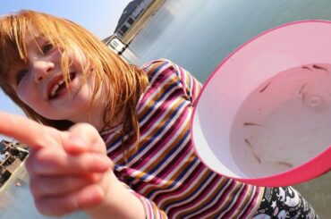 Adley and her FiSH FRiENDS!!  another day living at pirate island! Niko and Navey are feeling better