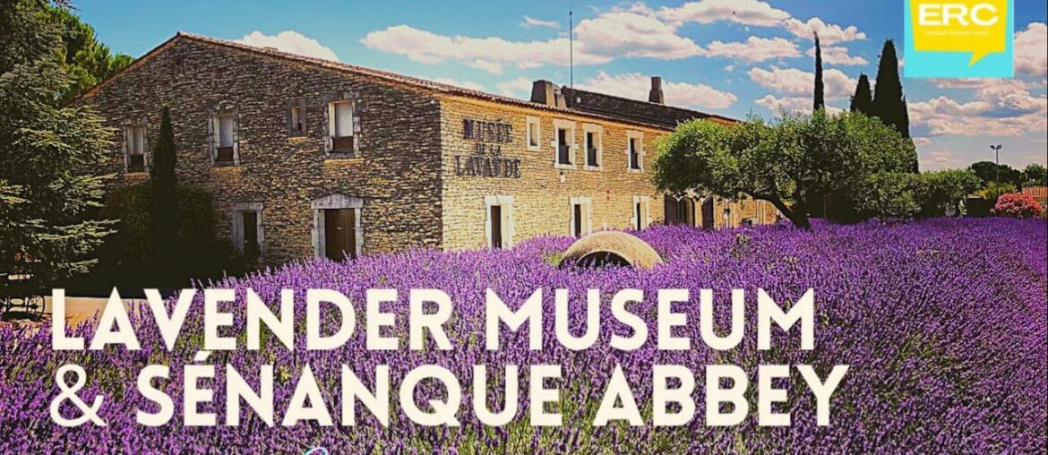 Provence French Lavender