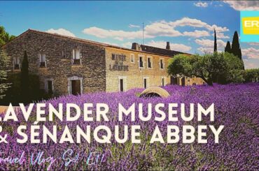 Provence French Lavender