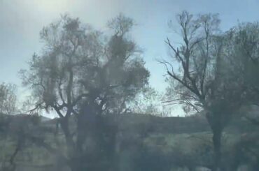 French Valley - Winchester, CA - Drive Along Washington St