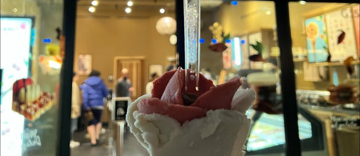 Dining at Toulouse in Plano Texas and Gelato