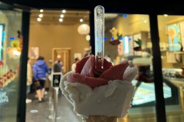 Dining at Toulouse in Plano Texas and Gelato