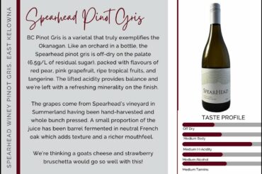 Spearhead Pinot Gris