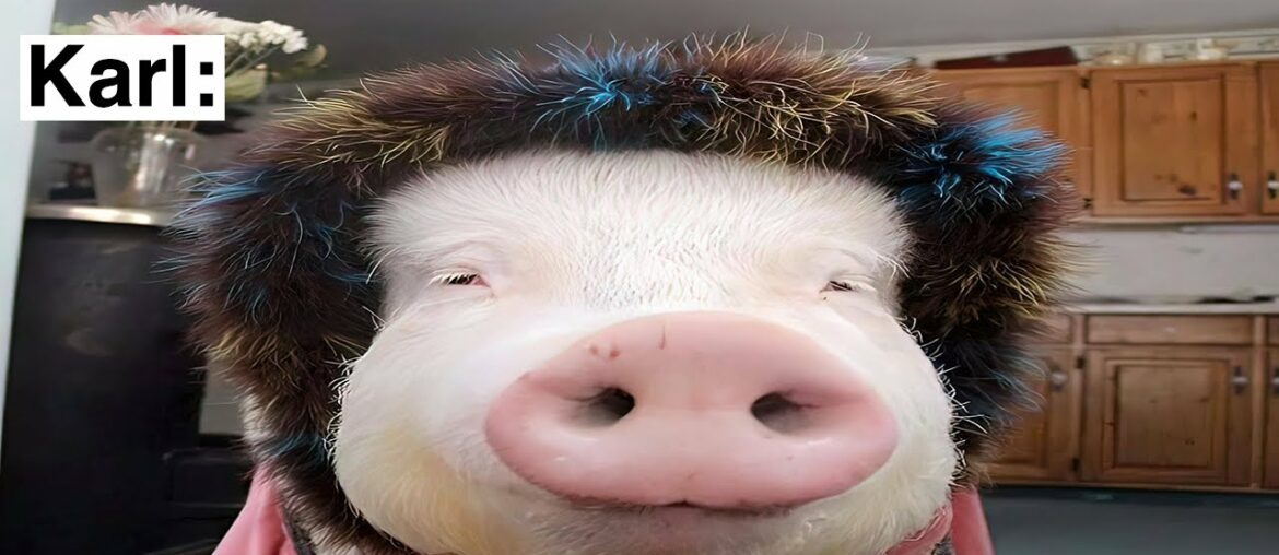 Dark Mode Video Memes V821 Dark Mode Video Memes V821