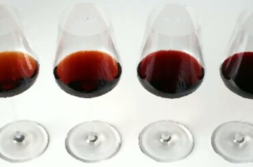 Michel Foucault, Michael Mike Knight, Operation Manna, Port wine, HMCS Alberni, Nanaimo bar