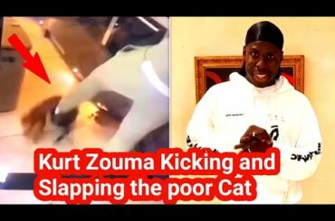 West Ham United defender Kurt Zouma filmed kicking and slapping cat