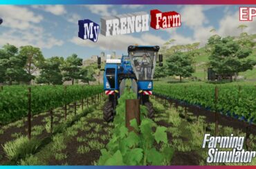 GRAPE HARVESTING AND AN EXISTENTIAL CRISIS | My French Farm - Ep2 | Farming Simulator 22