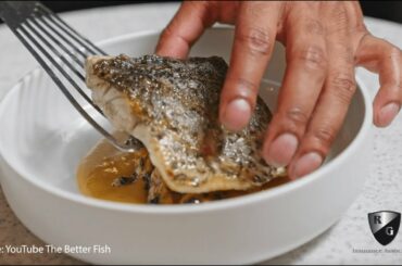 RG Connects Features Duck Duck Gose, MD