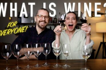 Intro to Wine for Everybody