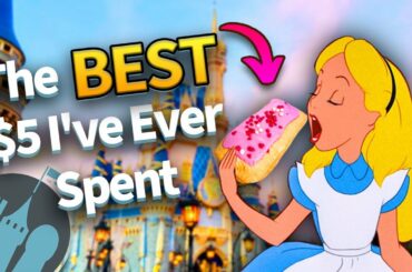 The Best $5 I've Ever Spent in Disney World