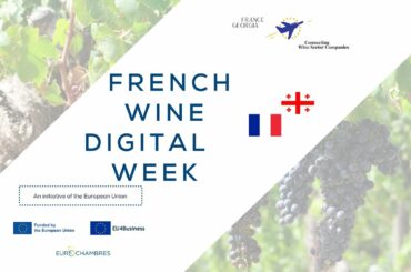 Visit to Chateaux Tourteau Chollet and debate on Climate Change