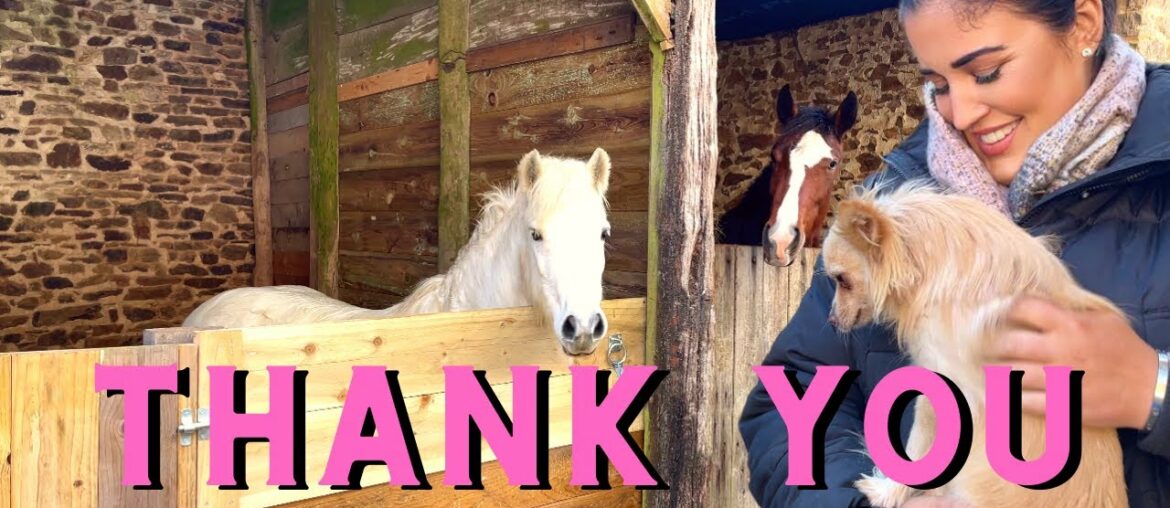 Gifts From My Viewers For The Chateau Horses! - Sadie In France