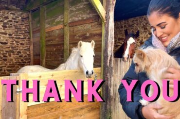 Gifts From My Viewers For The Chateau Horses! - Sadie In France