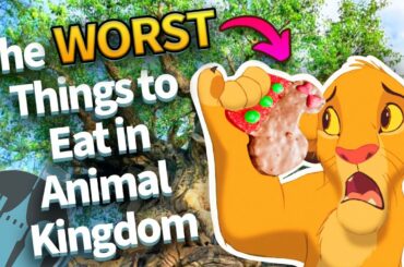 The WORST Things to Eat in Disney's Animal Kingdom