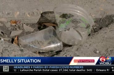 New Orleans residents in French Quarter frustrated after trash contract extended without input