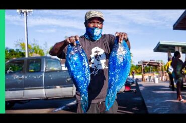 Bizarre Bahamas!! More Unseen EXTREME Seafood!!
