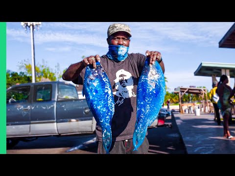 Bizarre Bahamas!! More Unseen EXTREME Seafood!! Bizarre Bahamas!! More Unseen EXTREME Seafood!!