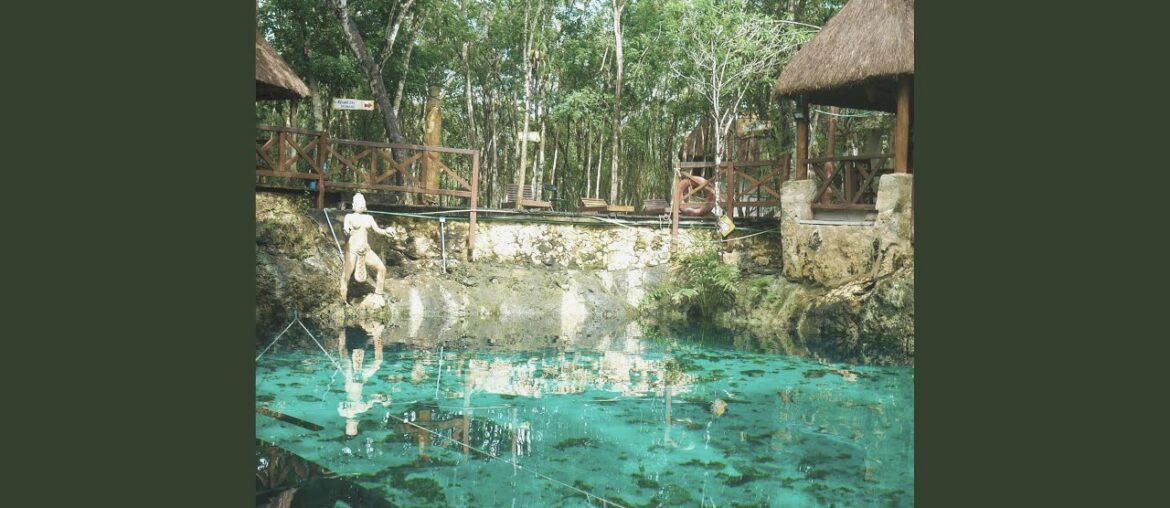 Wonderful Ambience for Dining with Friends