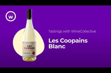 Wine Tastings with WineCollective | Les COOPains Blanc