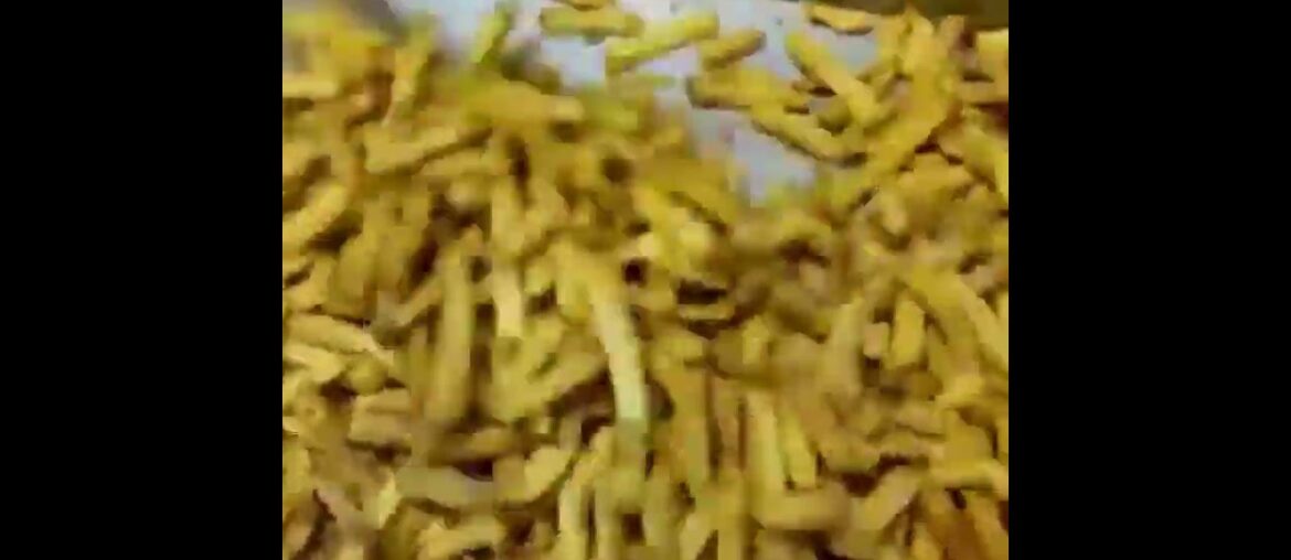 MOST AMAZING FRENCH FRIES || INDIAN STREET FOOD