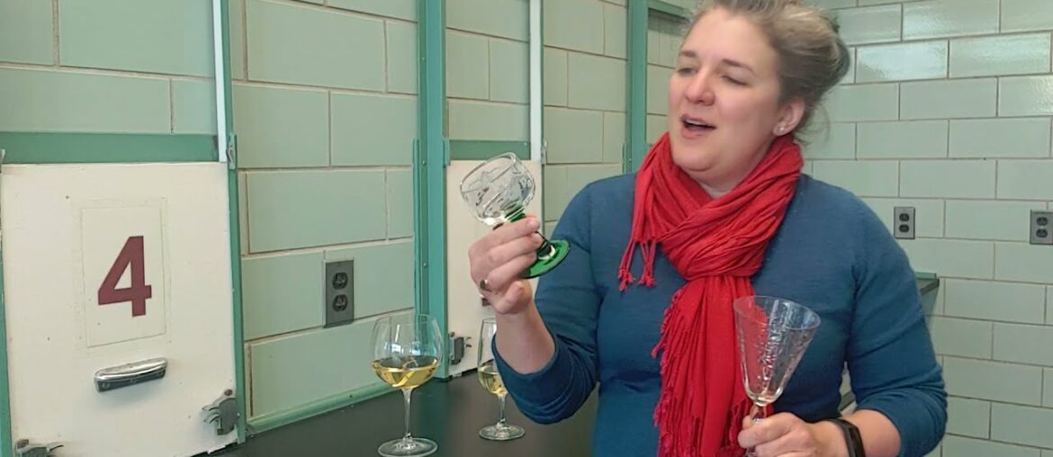 Does wine glass shape matter?