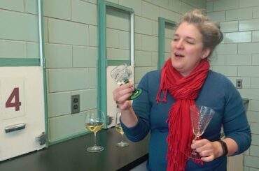 Does wine glass shape matter?