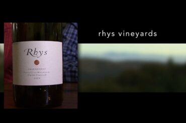 Santa Cruz/ Skyline: The Wine Road Less Traveled - Rhys Vineyards