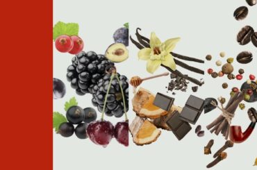 Insert Barrique - ZigZag - BARREL INSERT