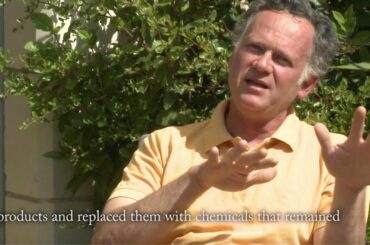 New Wine From France, growing French biodynamic wine, F. Chidaine, Philippe Gordon, Thierry Michon