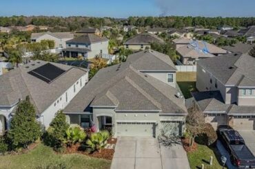 Homes for Sale - 20151 OAKFLOWER DRIVE, TAMPA, FL