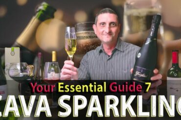 Spanish Cava Sparkling Wine: What You Need to Know!