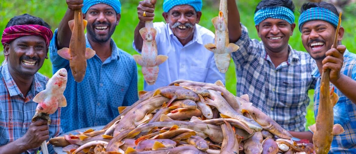 SHARK FISHES | Tiny Shark Fish Recipe Cooking in Village | Sura Meen Kulambu | Shark Fish Recipes SHARK FISHES | Tiny Shark Fish Recipe Cooking in Village | Sura Meen Kulambu | Shark Fish Recipes