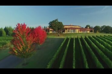 Cheers: It's National Wine Day