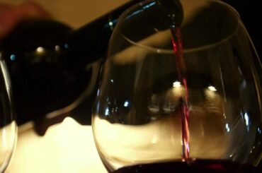 Cellar 313 on Live In The D