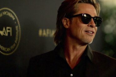 Brad Pitt sues Angelina Jolie over vineyard