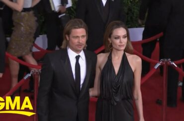 Brad Pitt sues Angelina Jolie for stake in winery l GMA