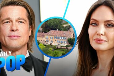 Brad Pitt Sues Ex Angelina Jolie Over Joint Winery | Daily Pop | E! News