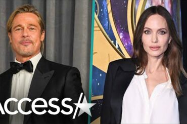 Why Is Brad Pitt Suing Angelina Jolie?